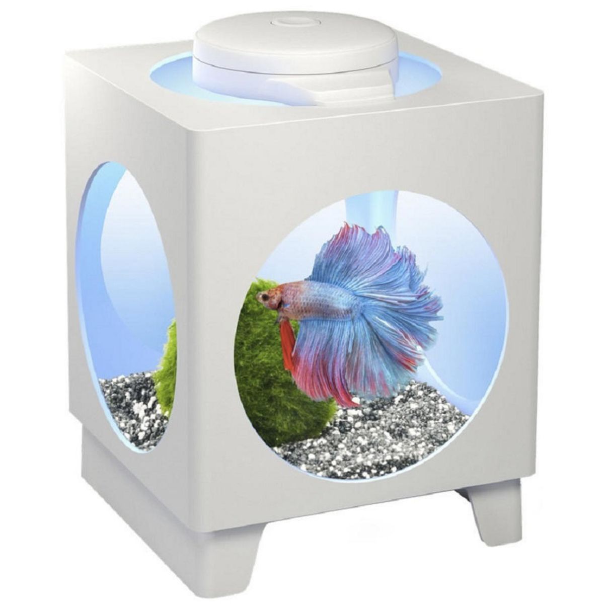 TETRA - Acuario tetra betta projector, 1.8 l