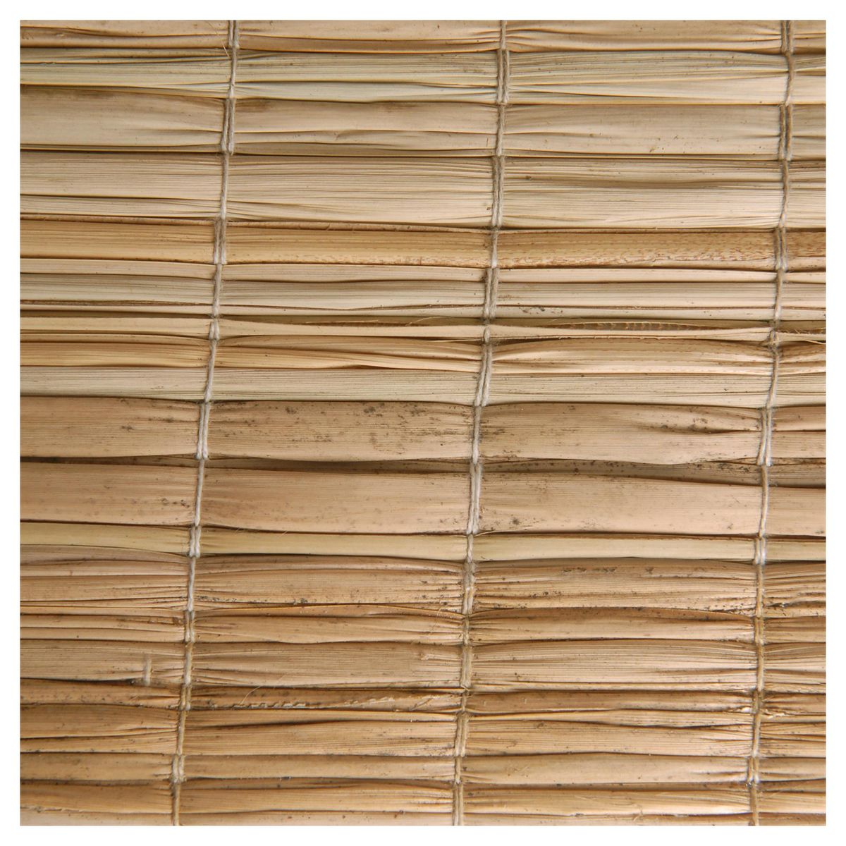 TOTORARTE - Rollo totora de caña 200x250 cm