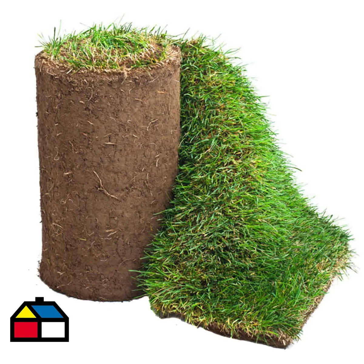 GENERICO - Palmeta de pasto 0,5 m2 aprox