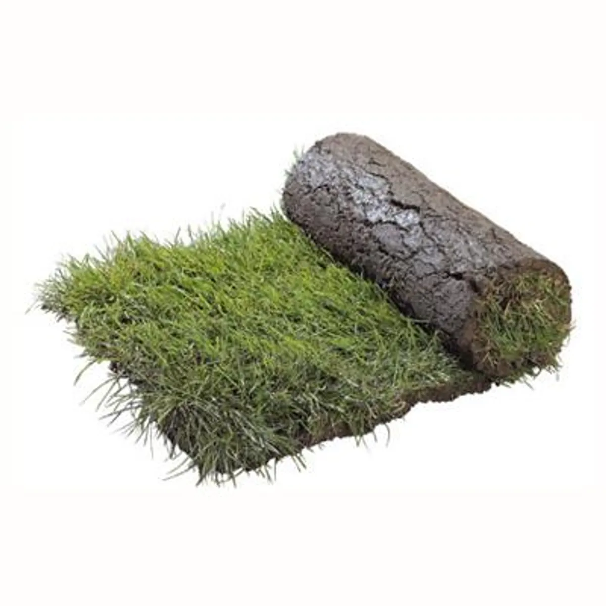 GENERICO - Palmeta de pasto 0,5 m2 aprox