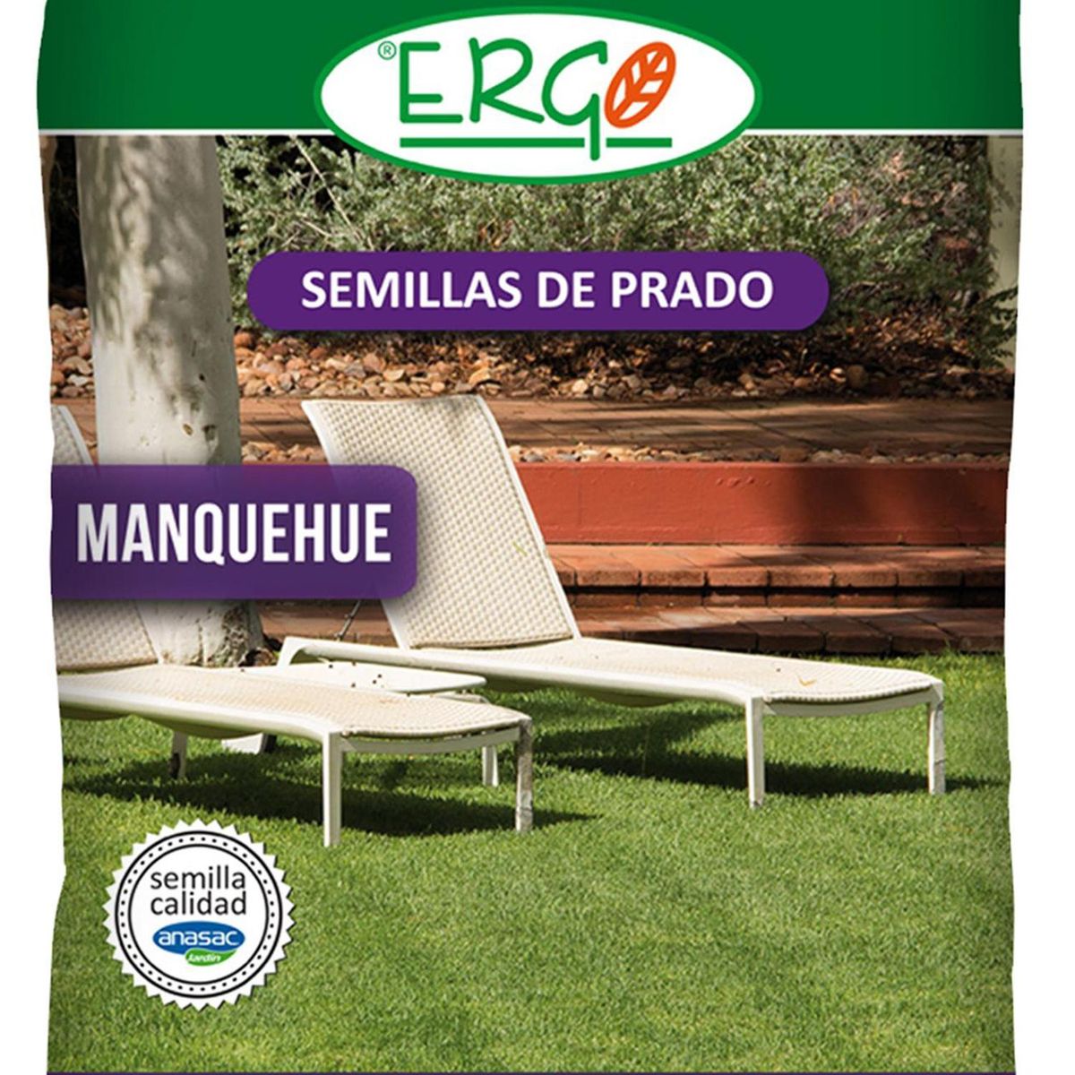 ERGO - Semilla de Pasto Manquehue 5 kg Bolsa