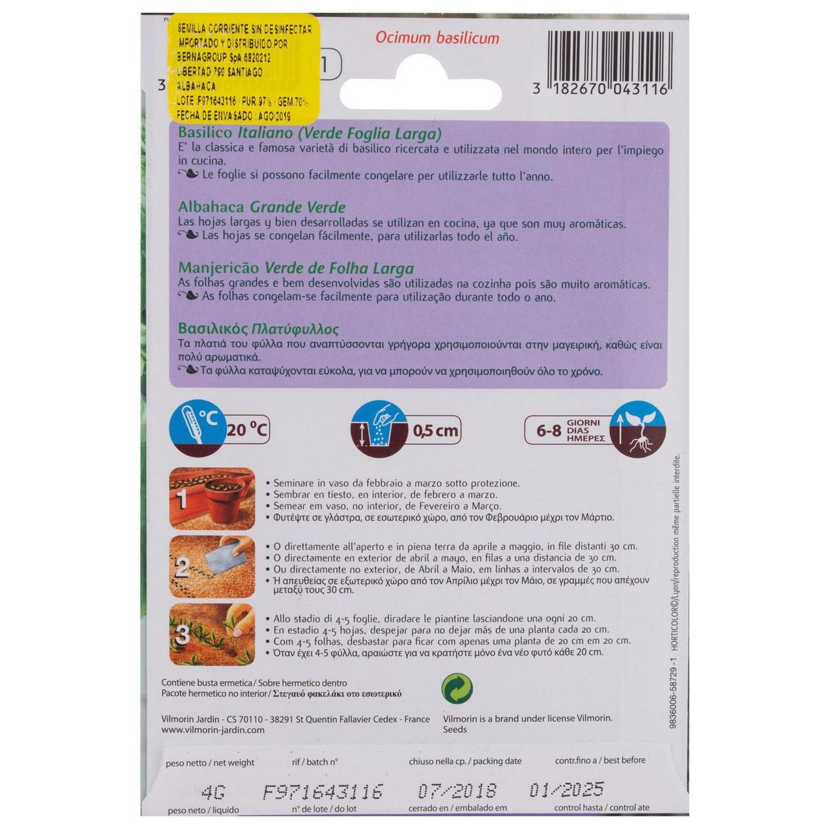 VILMORIN - Semilla Albahaca Verde 4 gr Sachet