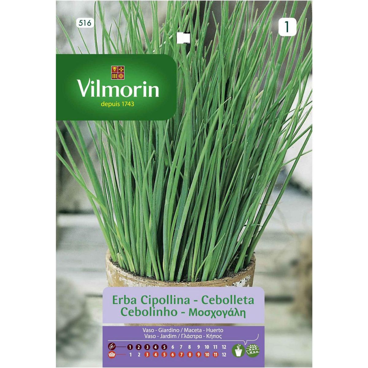 VILMORIN - Semilla Ciboulette 1 gr Sachet