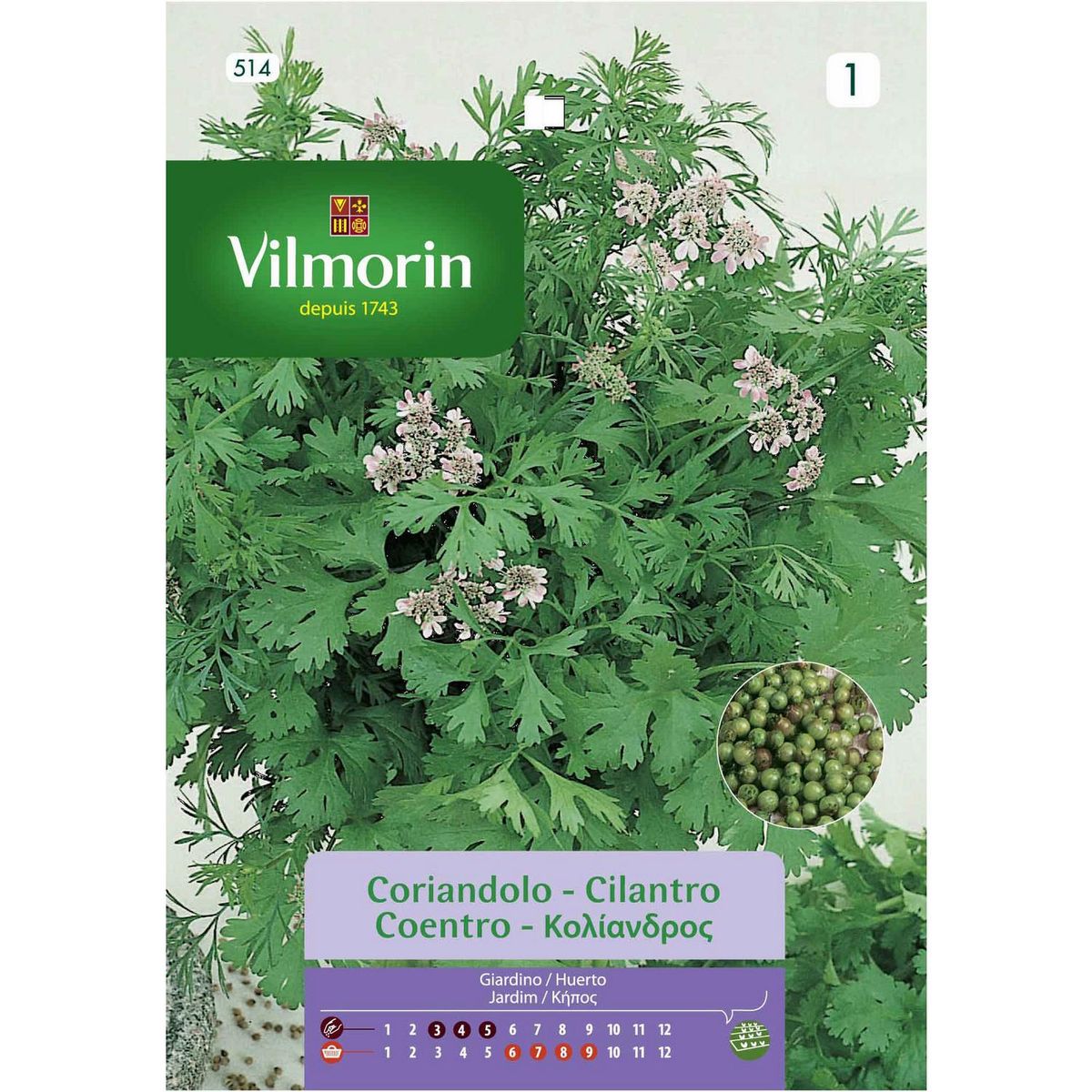 VILMORIN - Semilla Cilantro 5 gr Sachet