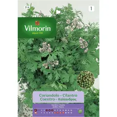 VILMORIN - Semilla cilantro 5 gr sachet