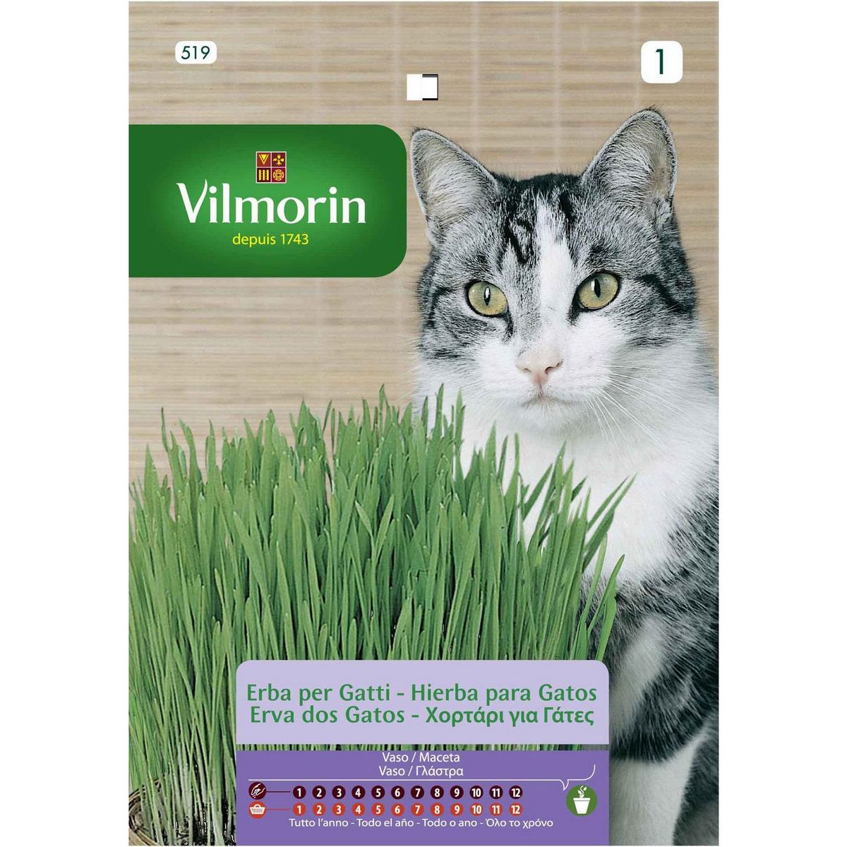 VILMORIN - Semilla Hierba para Gato 20 gr Sachet