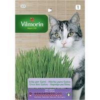 Semilla Hierba para Gato 20 gr Sachet