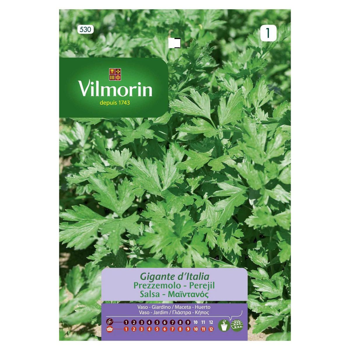 VILMORIN - Semilla Perejil 4 gr Sachet