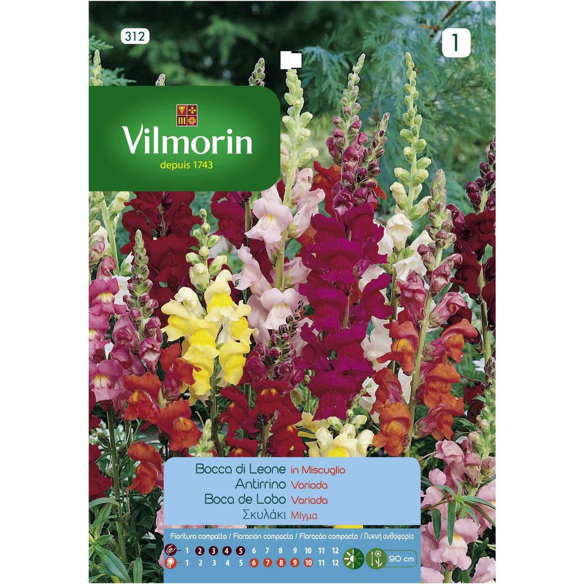 VILMORIN - Semilla Flor Perrito Gigante 0.6 gr Sachet