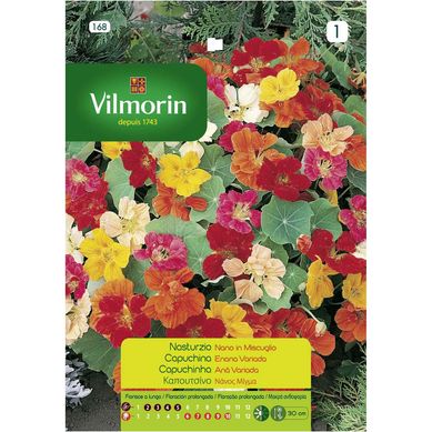 Semilla flor capuchina enana 5 gr sachet