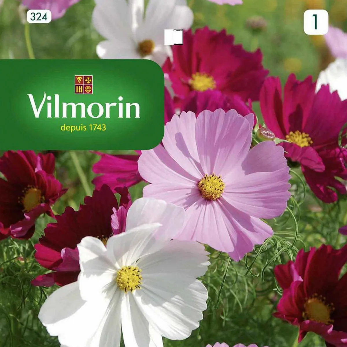 VILMORIN - Semilla Flor Cosmos 2 gr Sachet