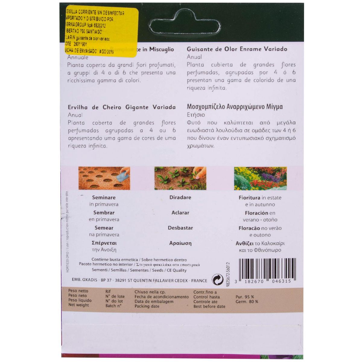 VILMORIN - Semilla de Guisante 2 gr Sachet