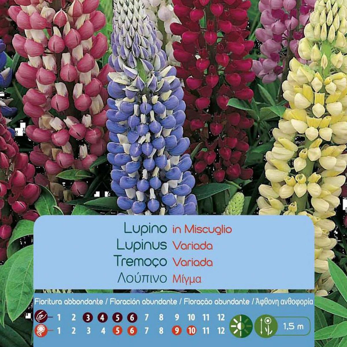 VILMORIN - Semilla Flor Lupino 2 gr Sachet