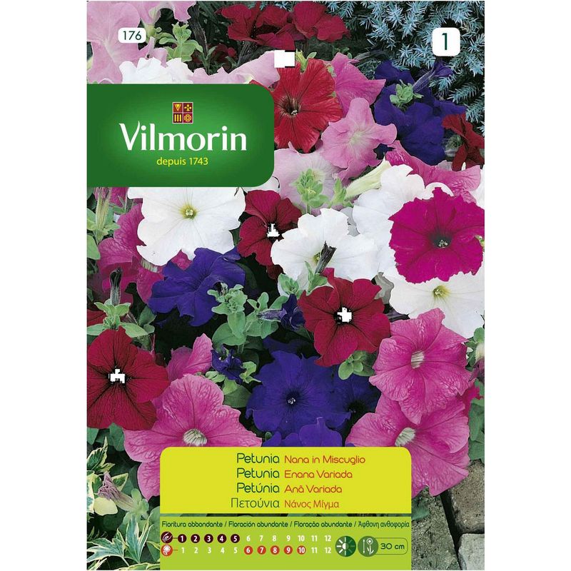 VILMORIN - Semilla flor petunia enana 0,4 gr sachet