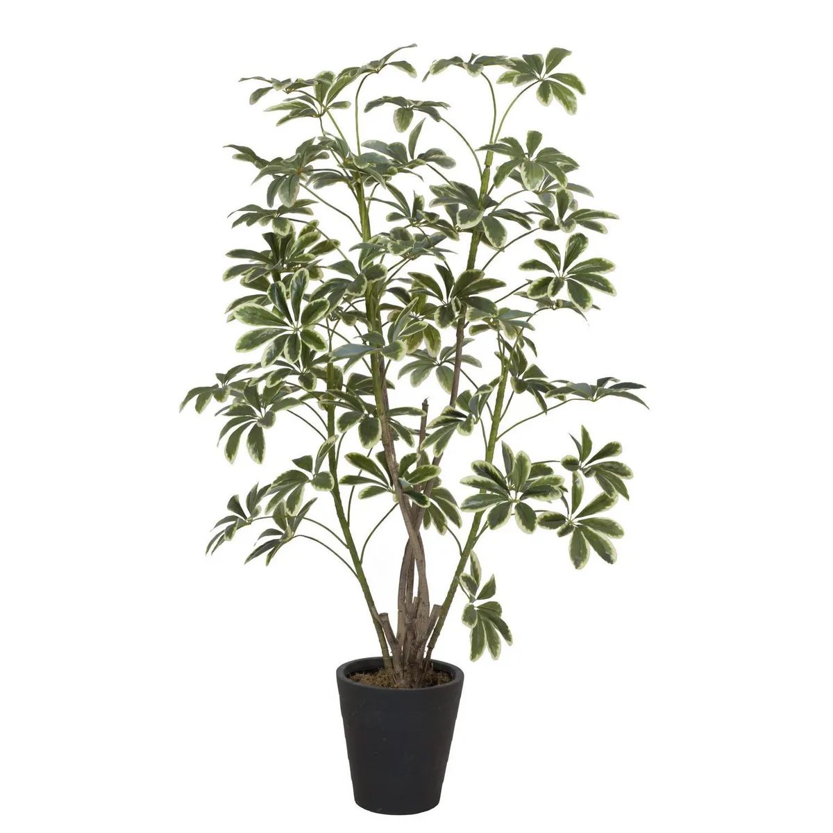 Planta Artificial Schefflera 172 cm Verde, marca JUST HOME COLLECTION - Foto Principal