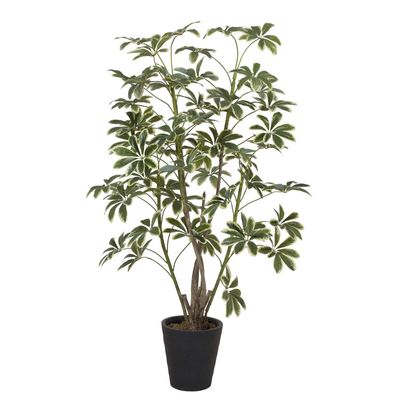 Imagen 2 del producto Planta Artificial Schefflera 172 cm Verde