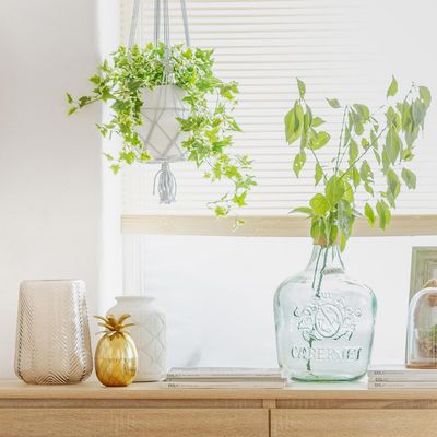 Imagen 2 del producto Botella Cabernet con rafia 42 cm 12 l