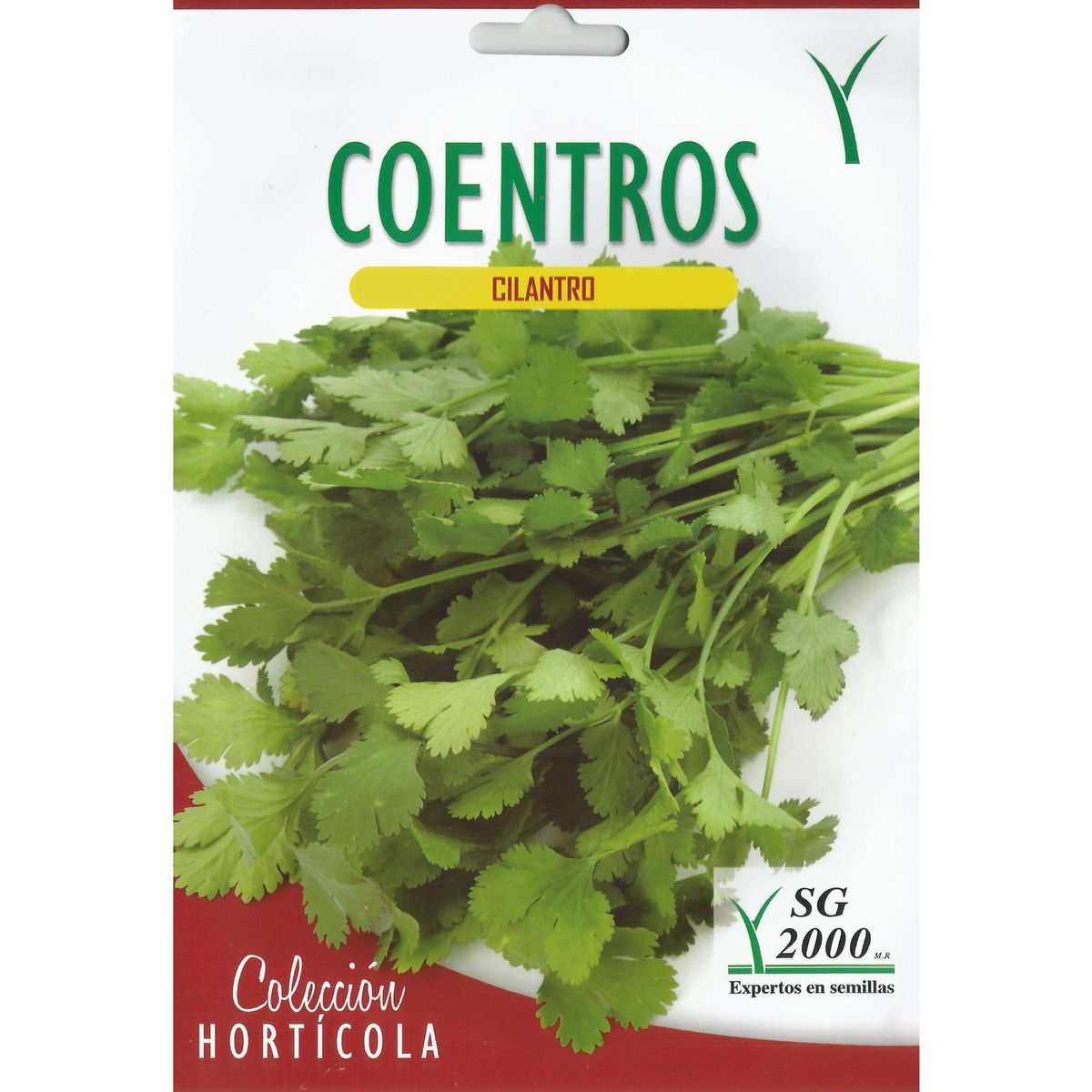 SG 2000 - Semilla cilantro