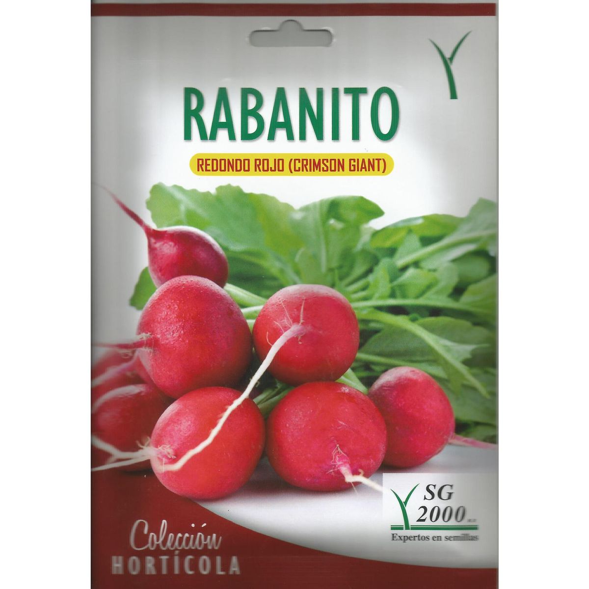 SG 2000 - Semilla rabanito