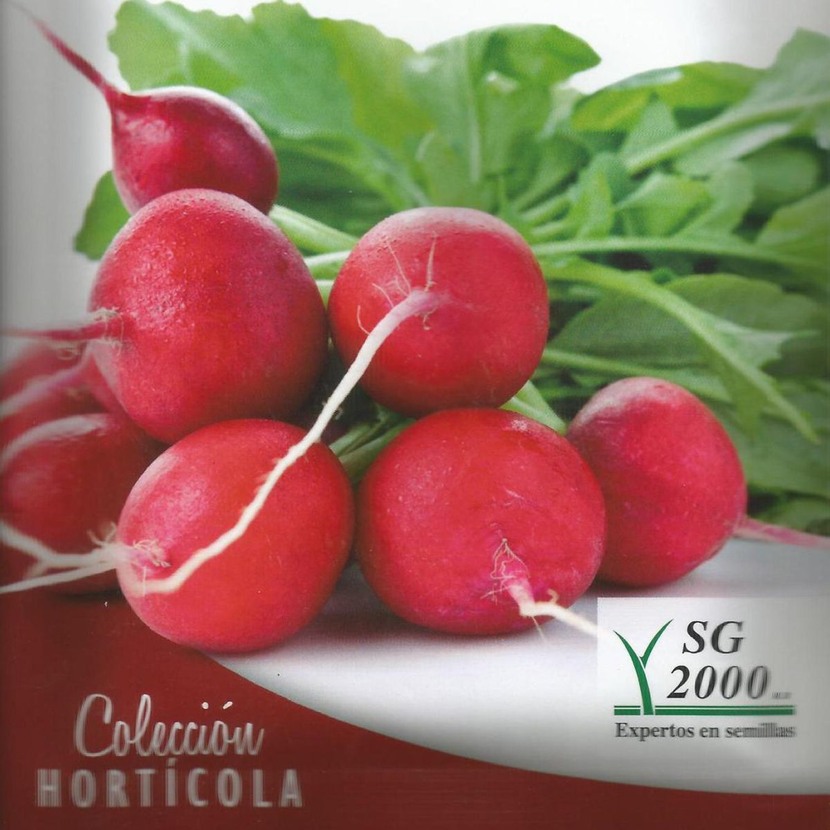 SG 2000 - Semilla rabanito
