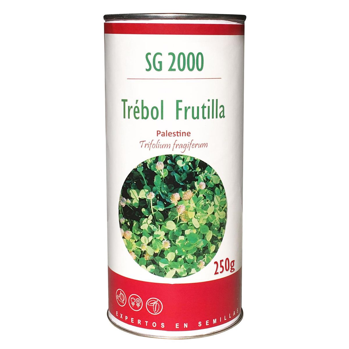 SG 2000 - Semilla césped trébol frutilla 250 grs