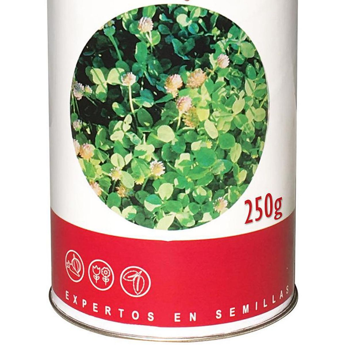 SG 2000 - Semilla césped trébol frutilla 250 grs