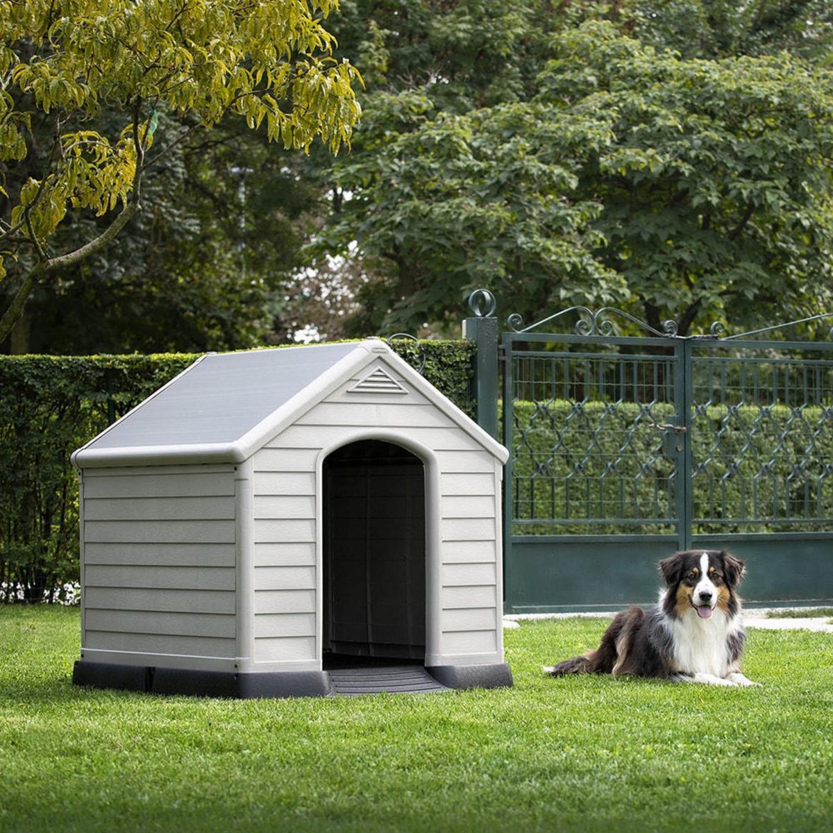 KETER -  para Perro 99x95x99 cm Gris