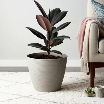 Imagen 2 del producto Macetero Redondo de Plástico 24.4x23 cm Taupe