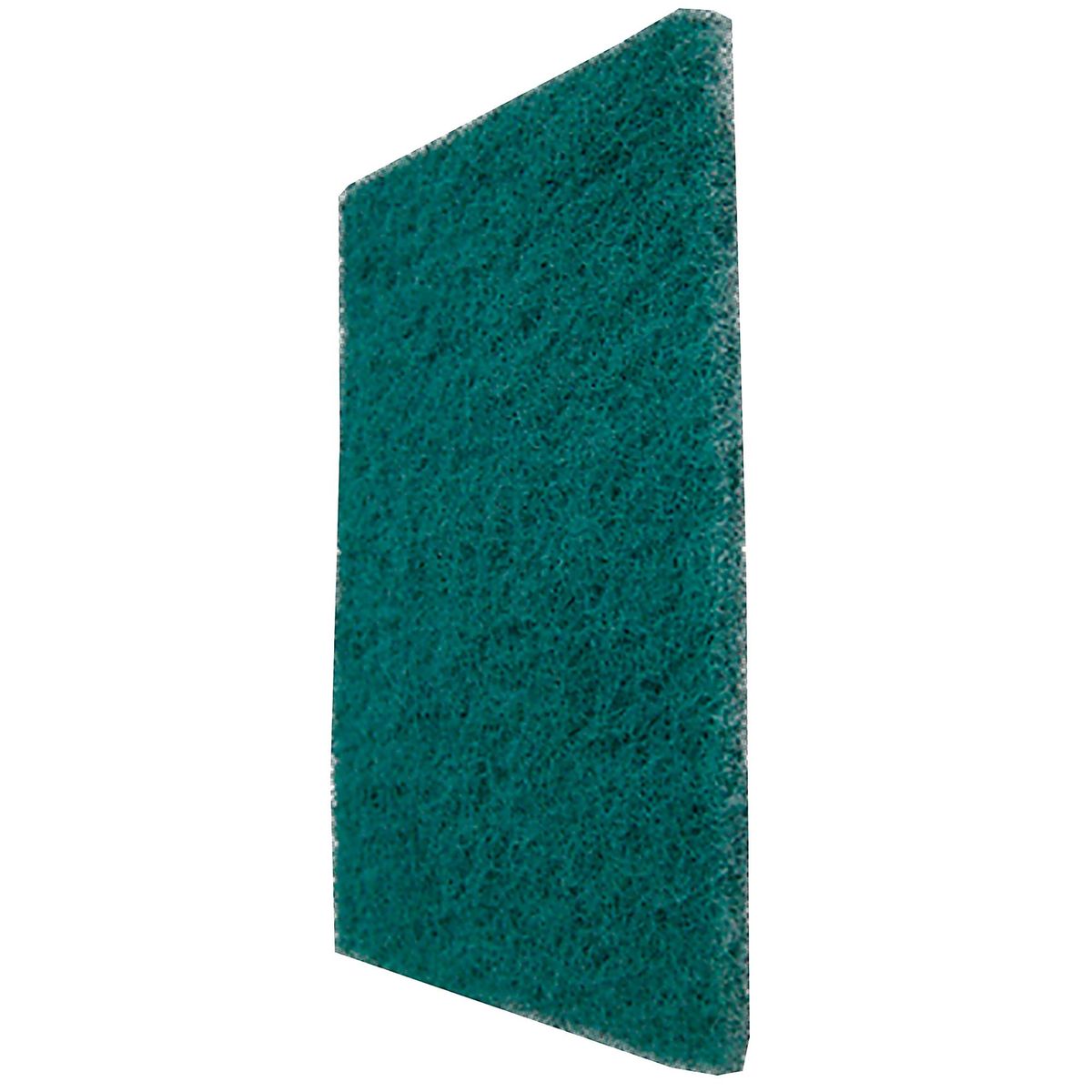 SCOTCH BRITE - Fibra cocina abrasiva 2 unidades