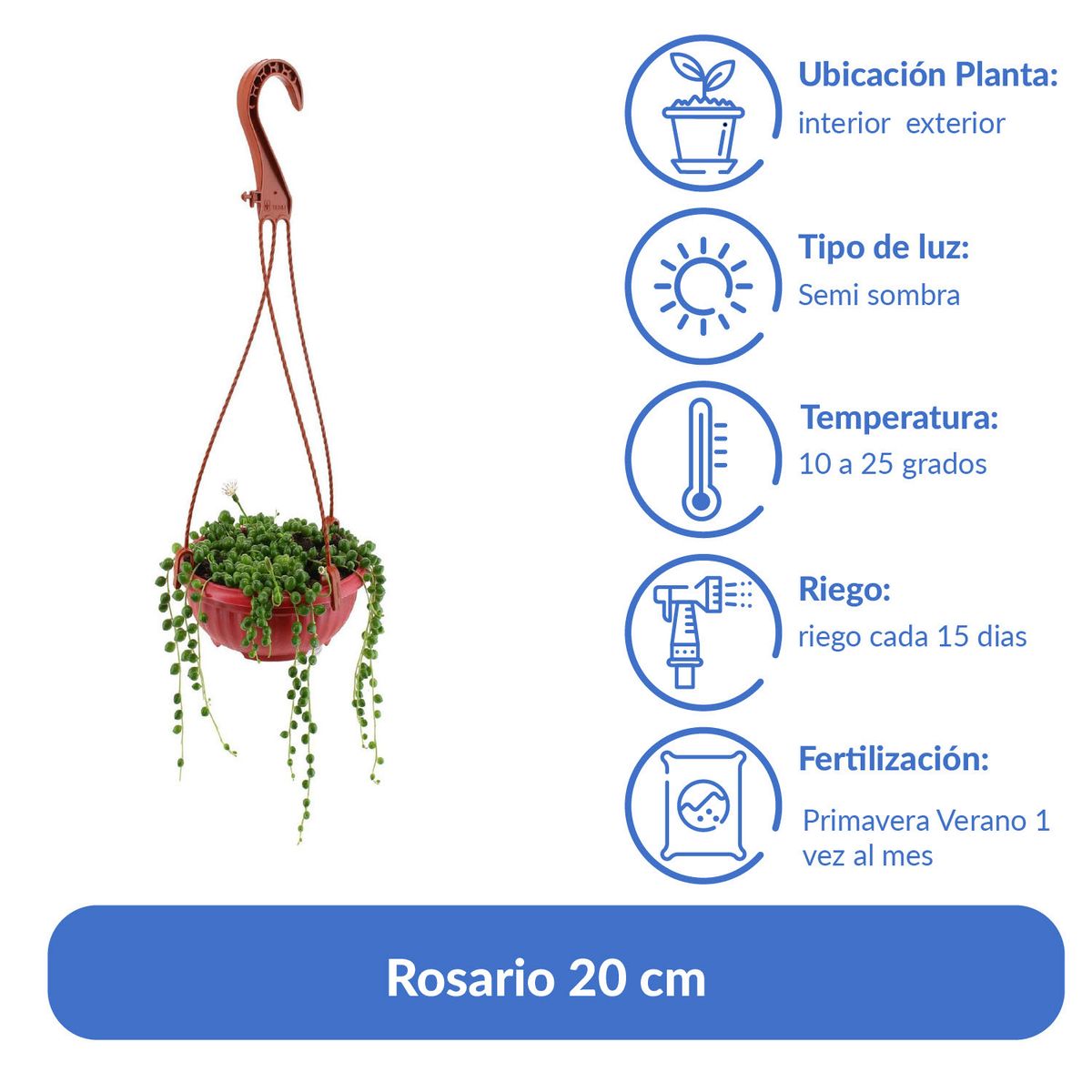 LAS BANDURRIAS - Rosario 20 cm Natural CT