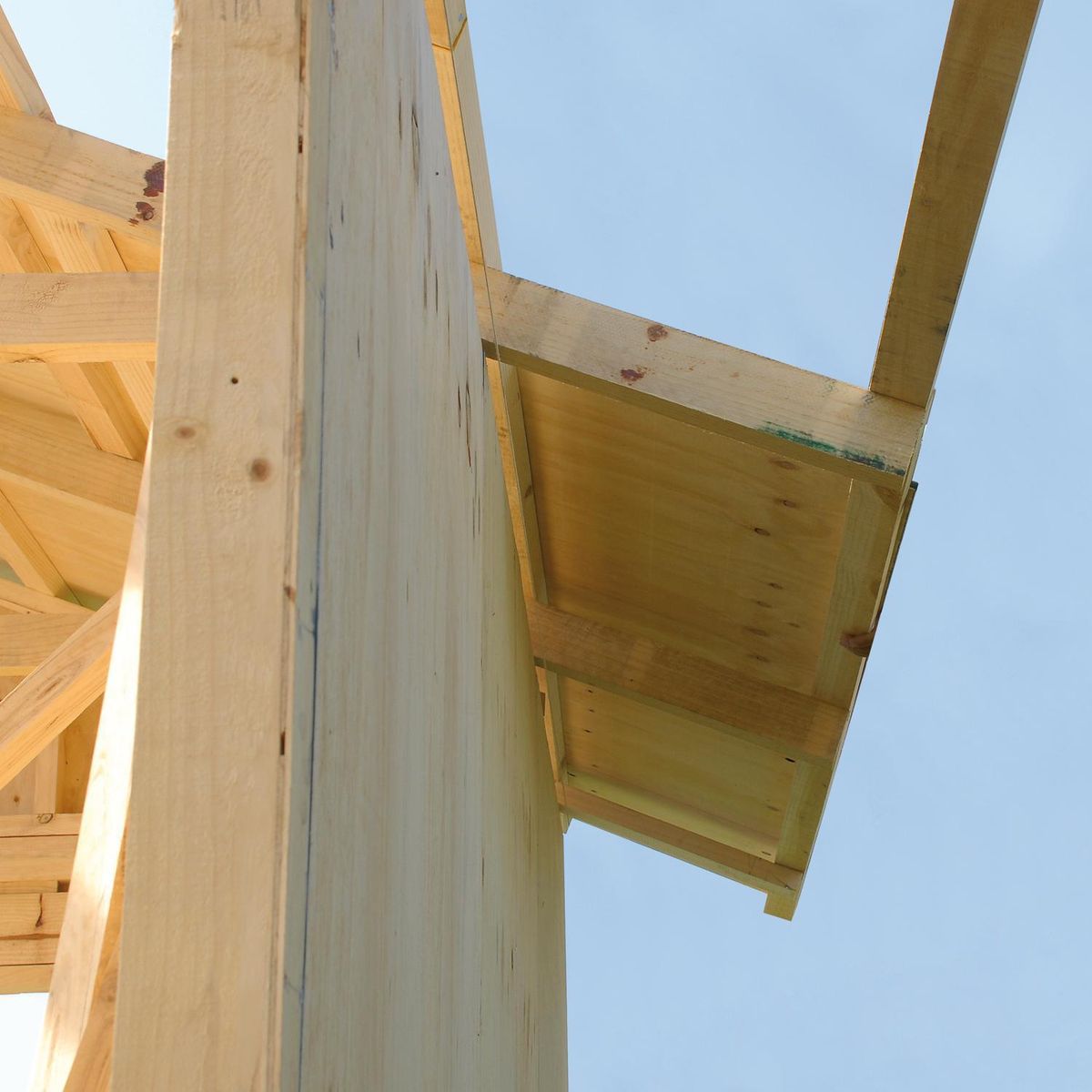 ARAUCO - Terciado Estructural Pino 12 mm 120x240 cm