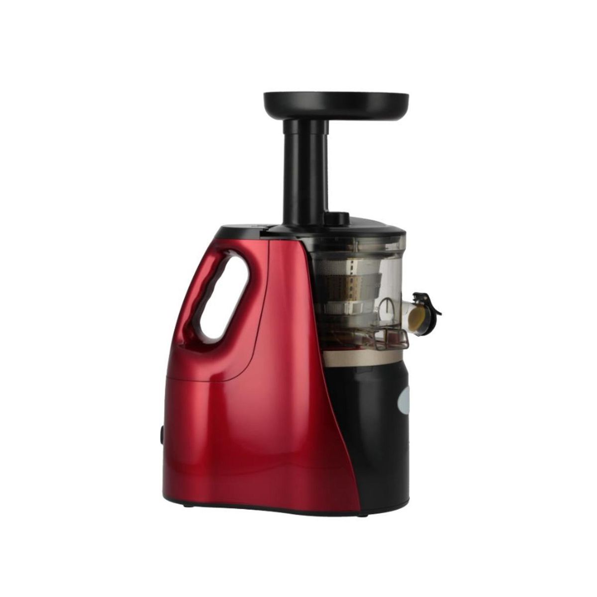 SINDELEN - Extractor de jugo lento 2 x 0,5 litros 200 W