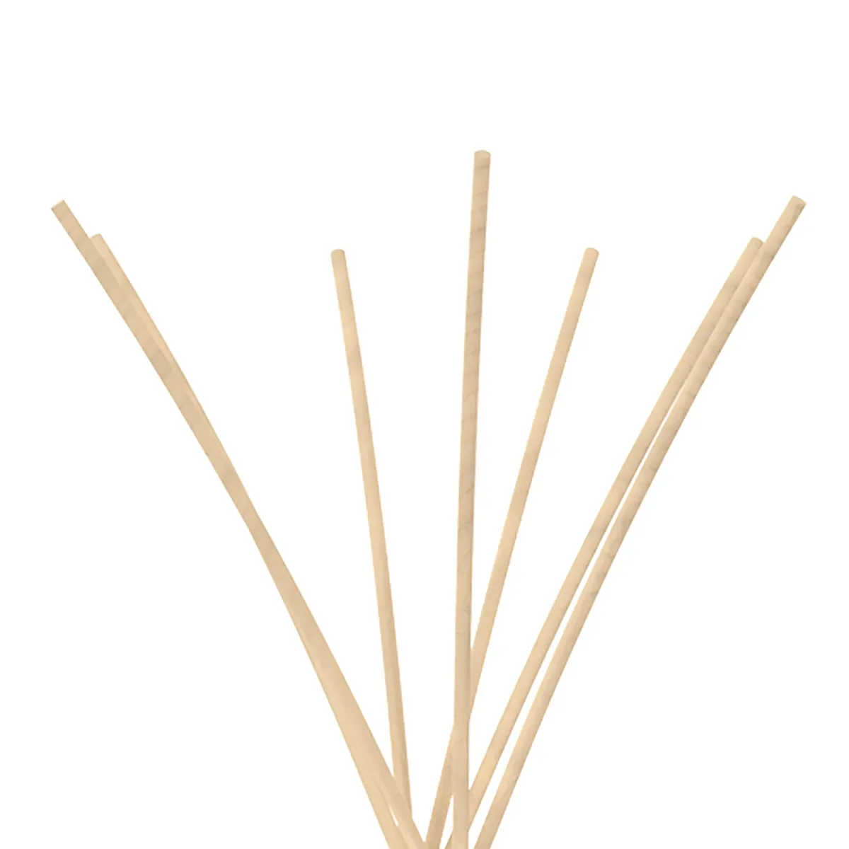 PATAGONIA - Difusor Ambiental Coco/Vainlla 0.125 l