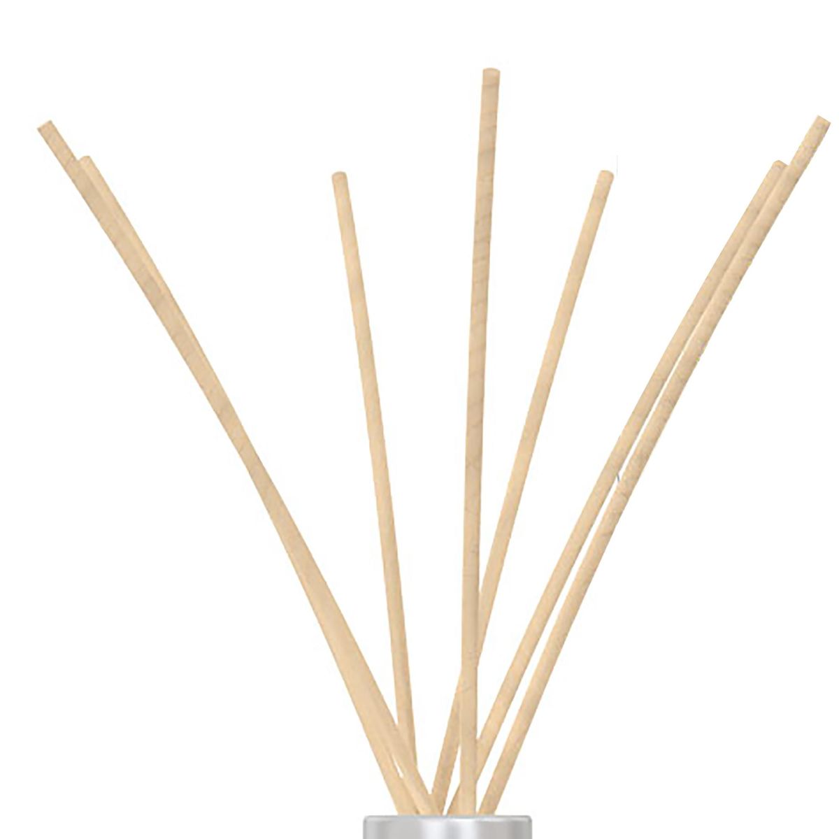 PATAGONIA - Difusor Ambiental Verbenia/Fresia 0.125 l