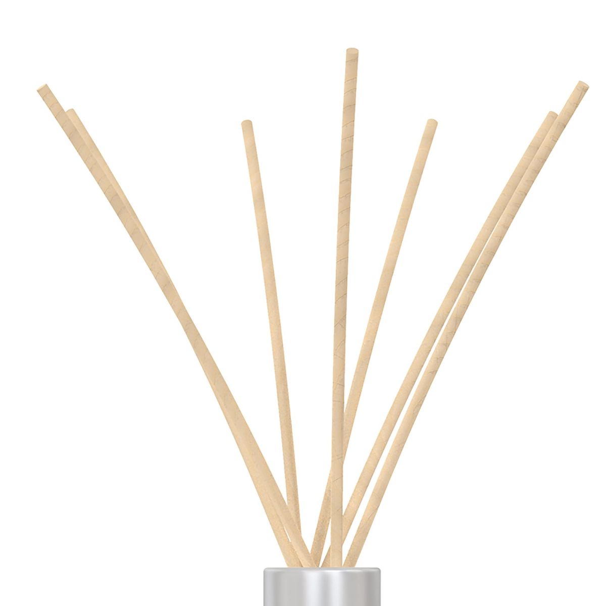 PATAGONIA - Difusor Ambiental Sandia/Pepino 0.125 l