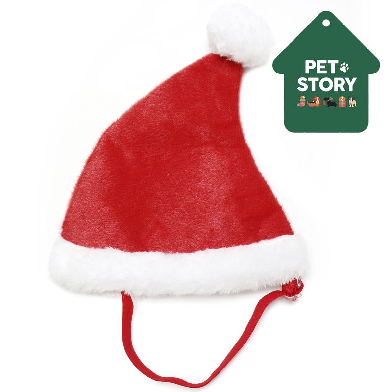 DEAR SANTA - Gorro santa para perro