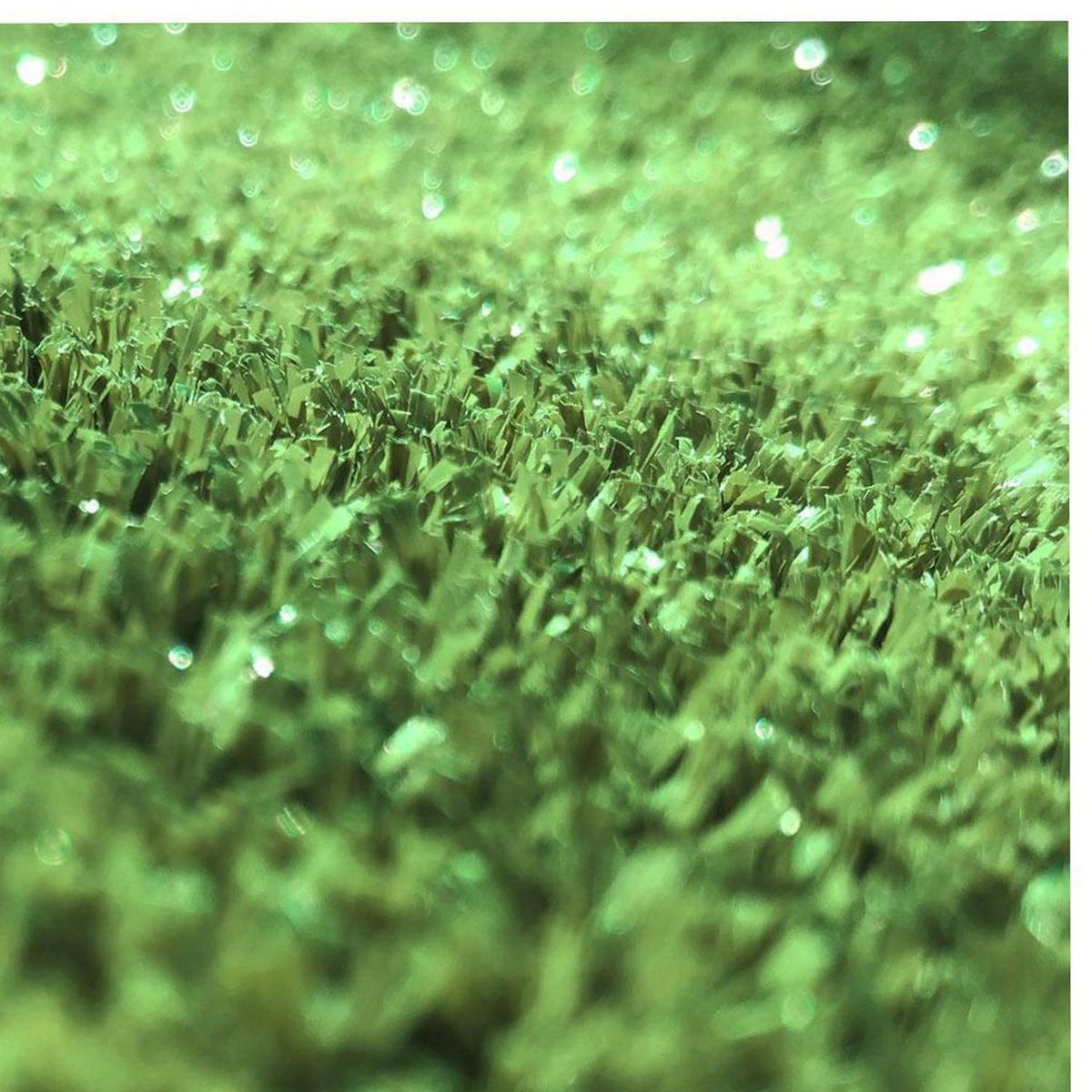 DIB - Pasto Sintético Garden Grass 10 mm 2x25 metros