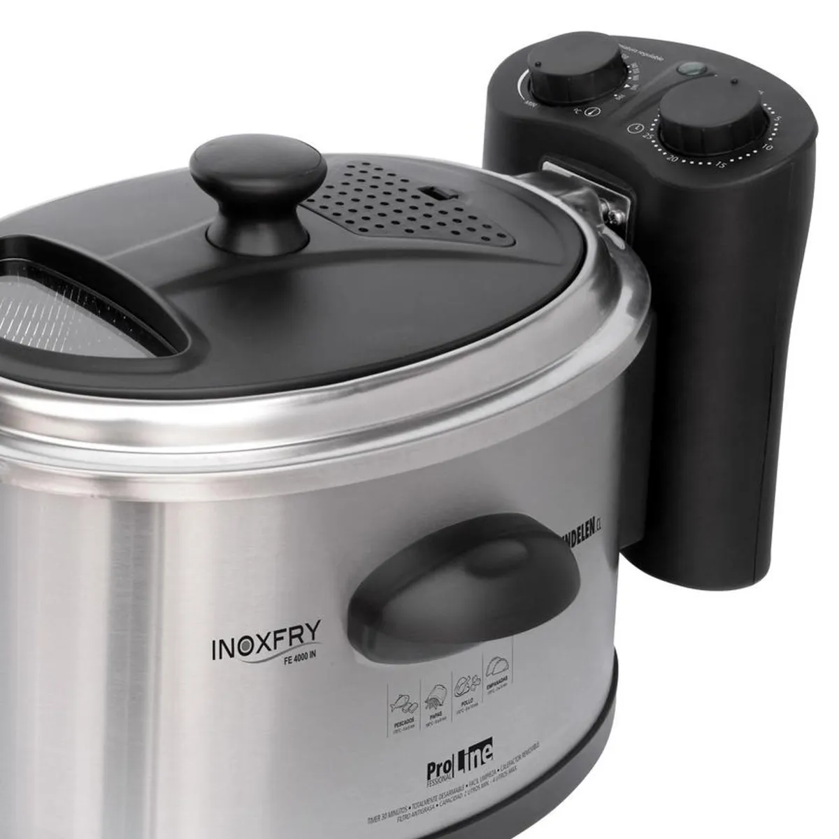 SINDELEN - Freidora eléctrica con aceite 2.000 W