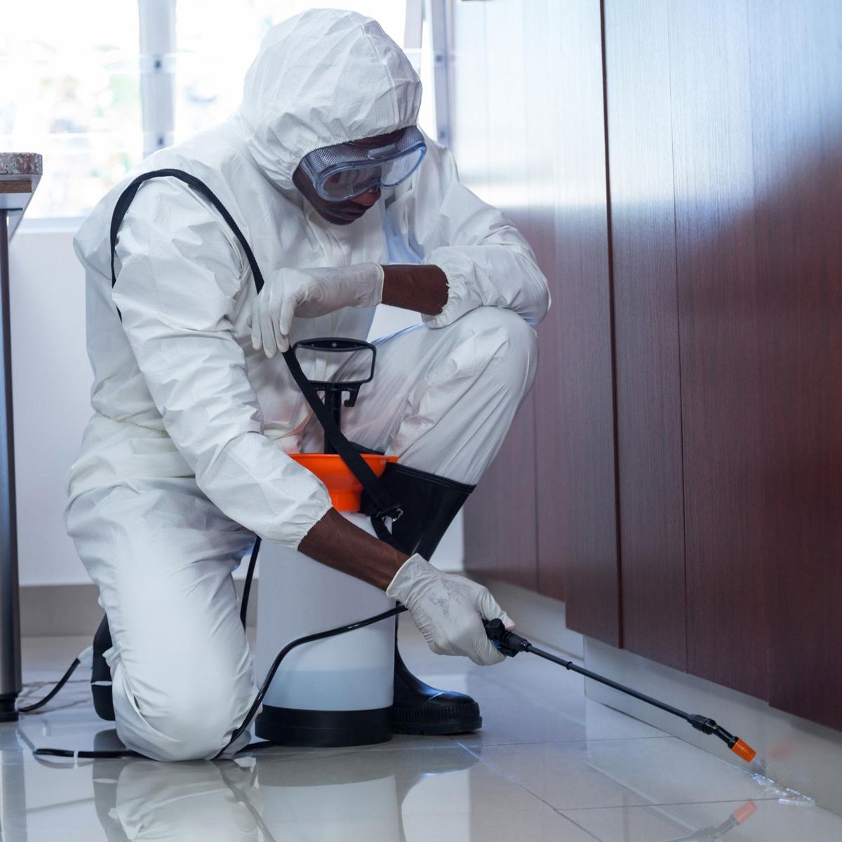 SERVICIOS HOGAR - Servicio de Desinsectado de casa/departamento/oficina desde 201 hasta 400m2