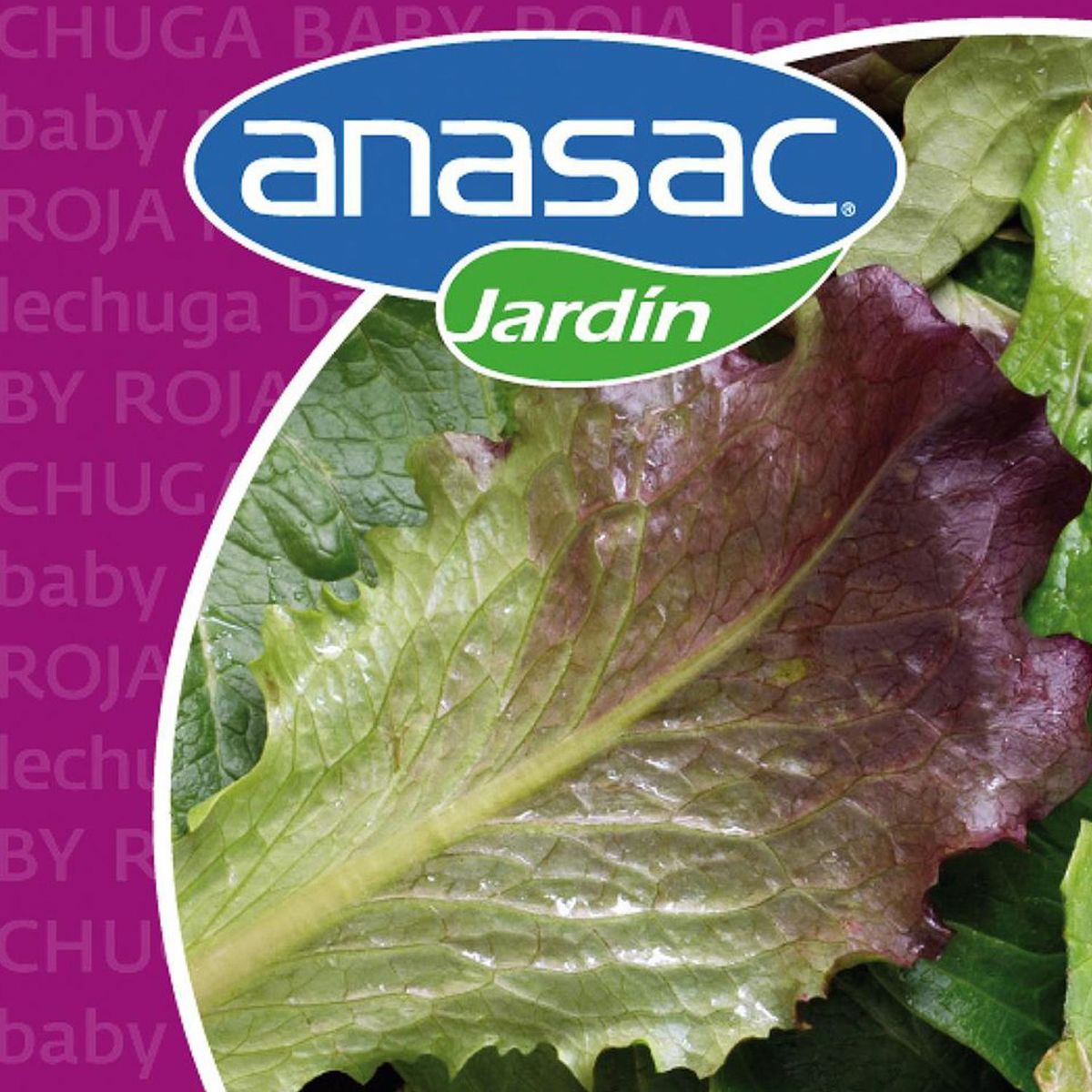 ANASAC - Semilla de Hortaliza Lechuga Baby Leaf Roja 1 gr Sachet