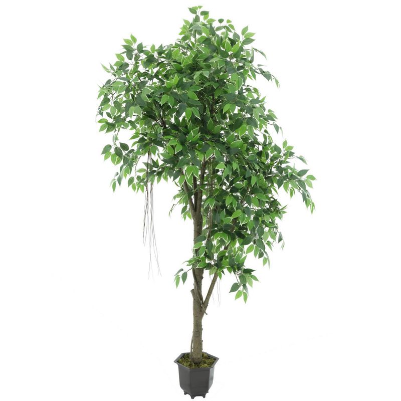 JUST HOME COLLECTION - Planta Artificial Mini Ficus 190 cm Verde