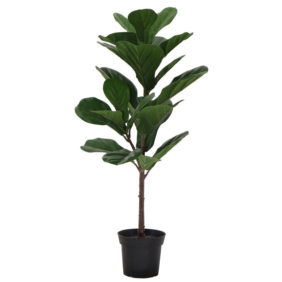 JUST HOME COLLECTION - Planta Artificial Ficus Lirata 83 cm Verde