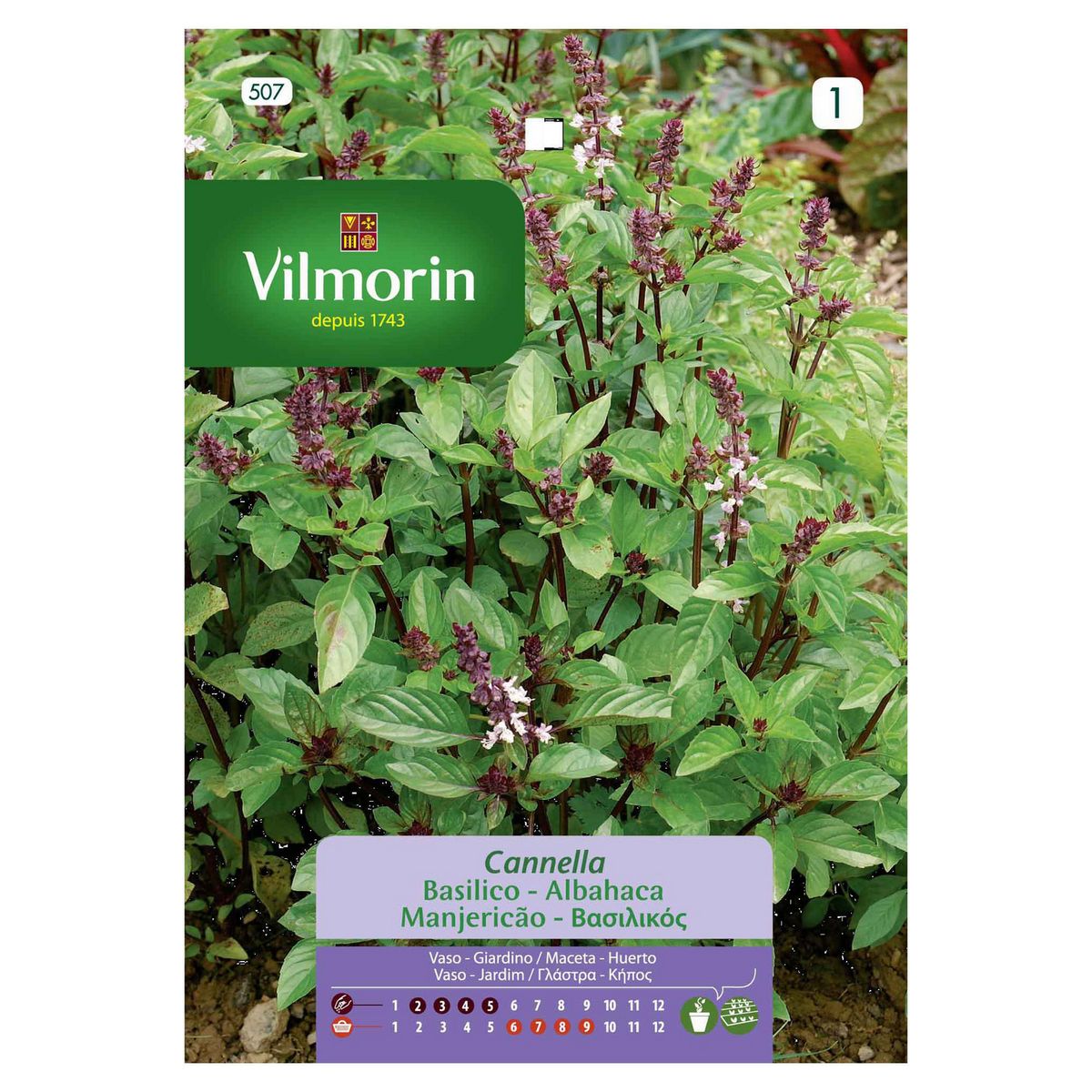 VILMORIN - Semillas Albahaca Thai 1 gr Sachet