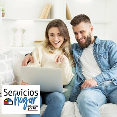 Servicio de limpieza ordenador.