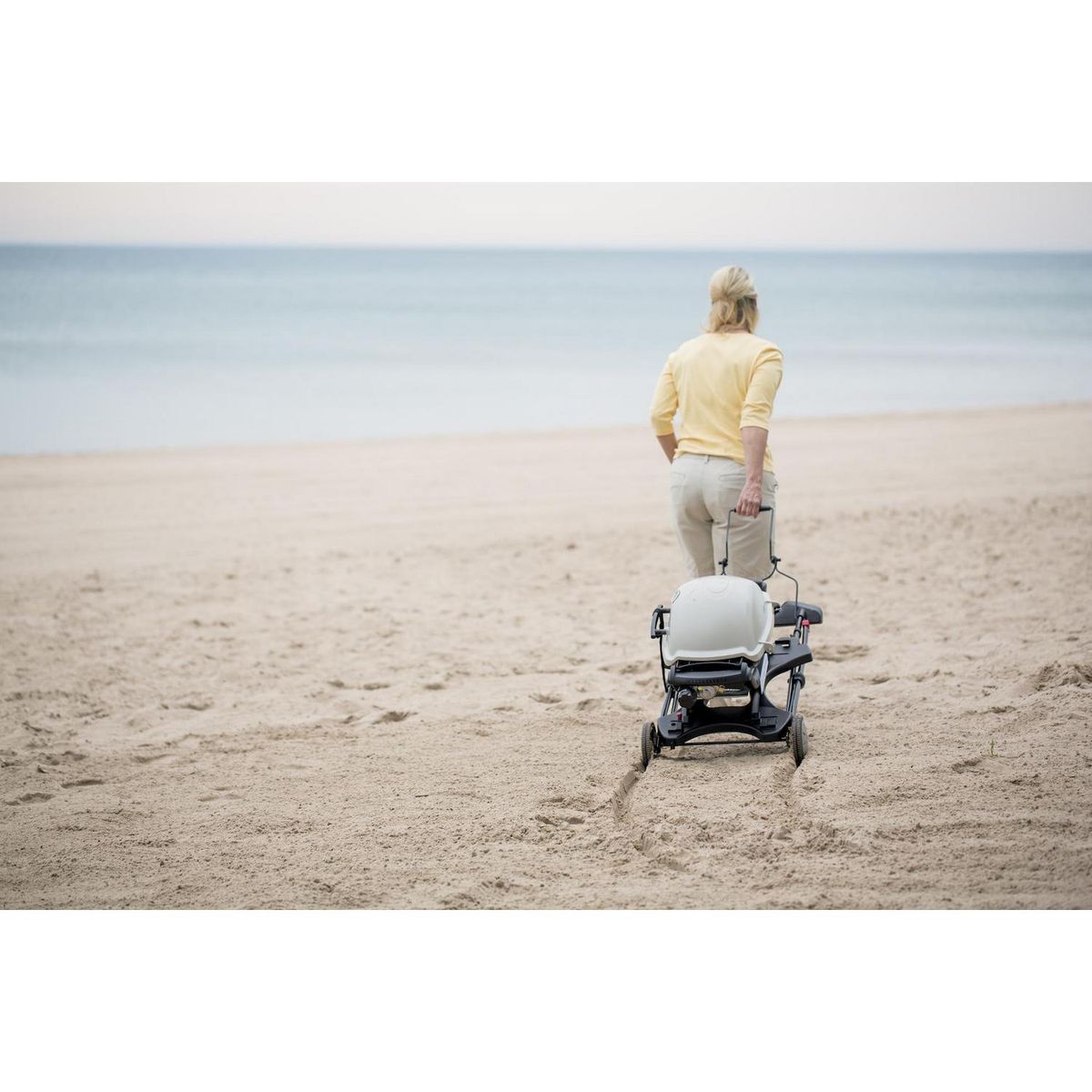 WEBER - Parrilla a Gas Q2200 1 Quemadores 