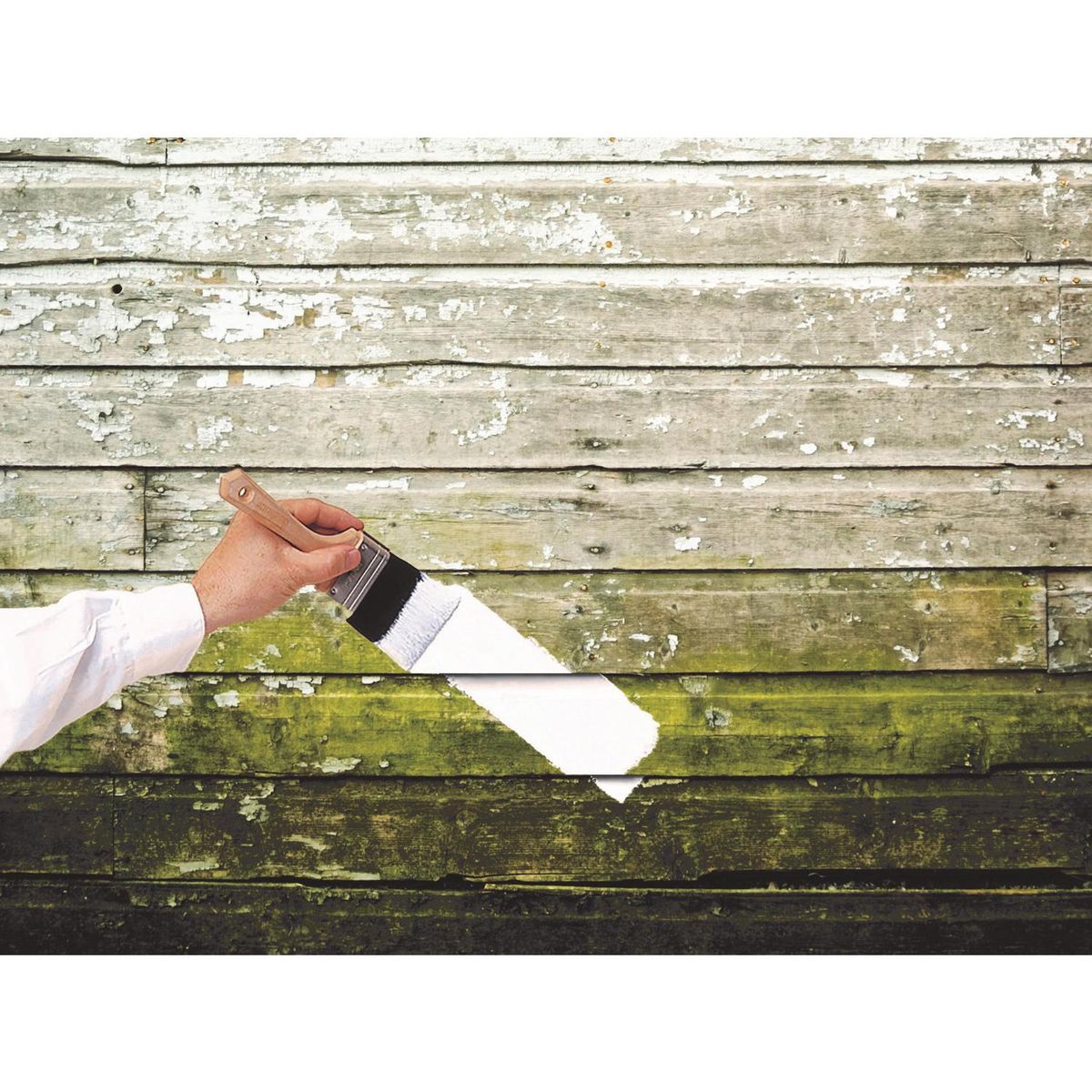 RUST OLEUM - Fondo Eliminador de Hongo y Moho Lata 1 galón(es) Semibrillante Blanco