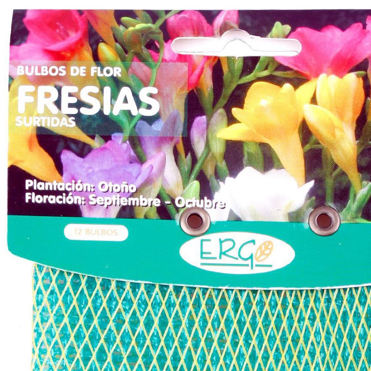 ERGO - Bulbo fresia surtido 12 unidades