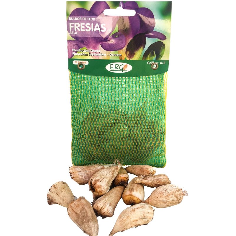 ERGO - Bulbo fresia surtido 12 unidades