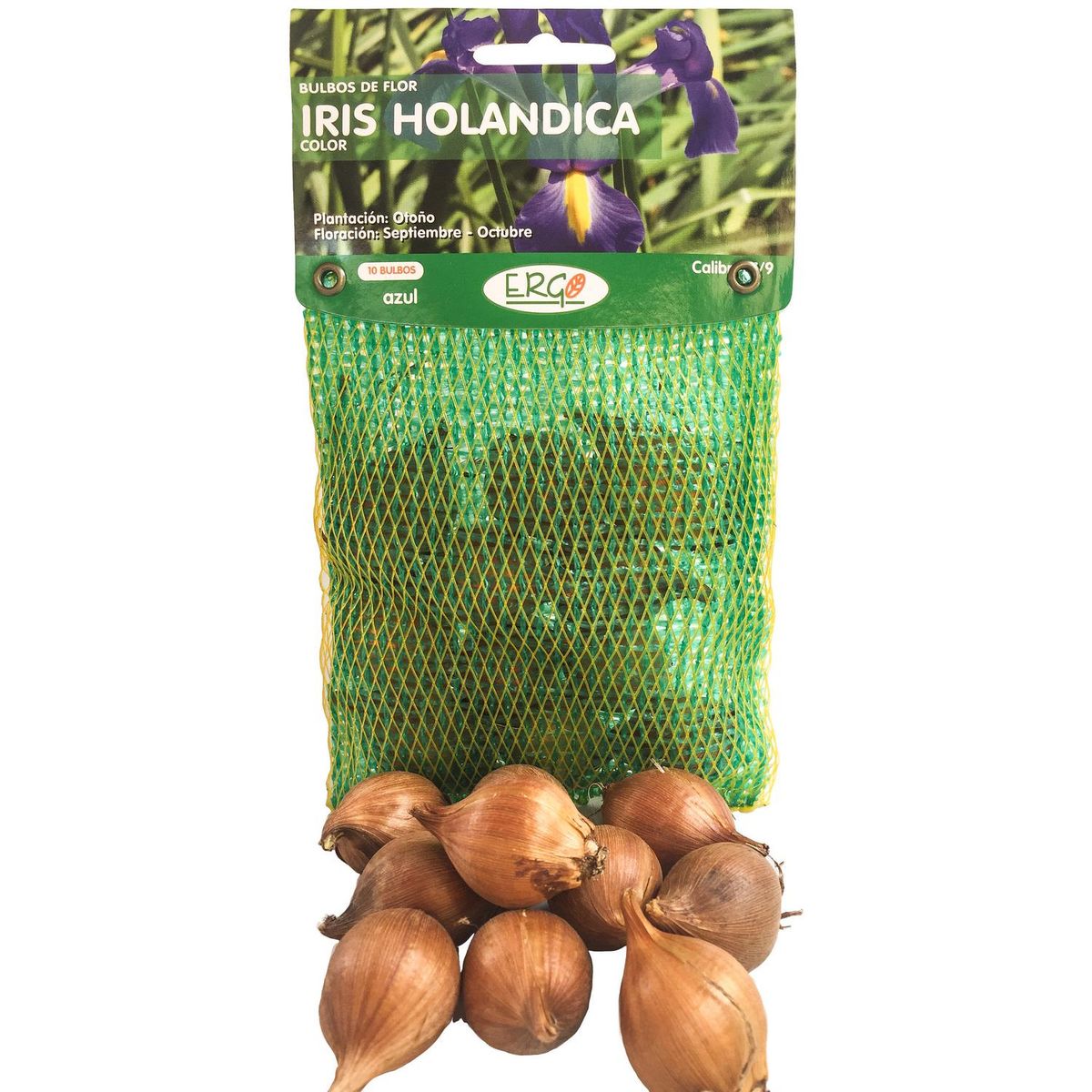 ERGO - Bulbo irirs holándica surtido 10 unidades