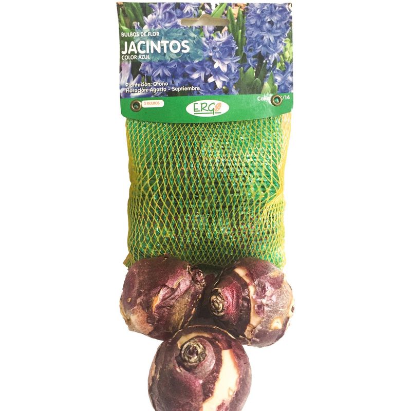 ERGO - Bulbo jacinto surtido 3 unidades